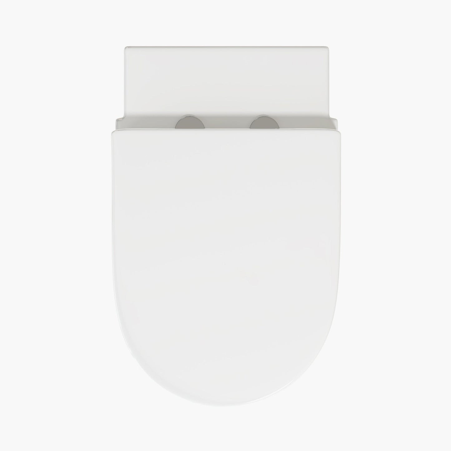 Modern Wall Hung Toilet With Soft Closing Toilet Seat Model TG02W