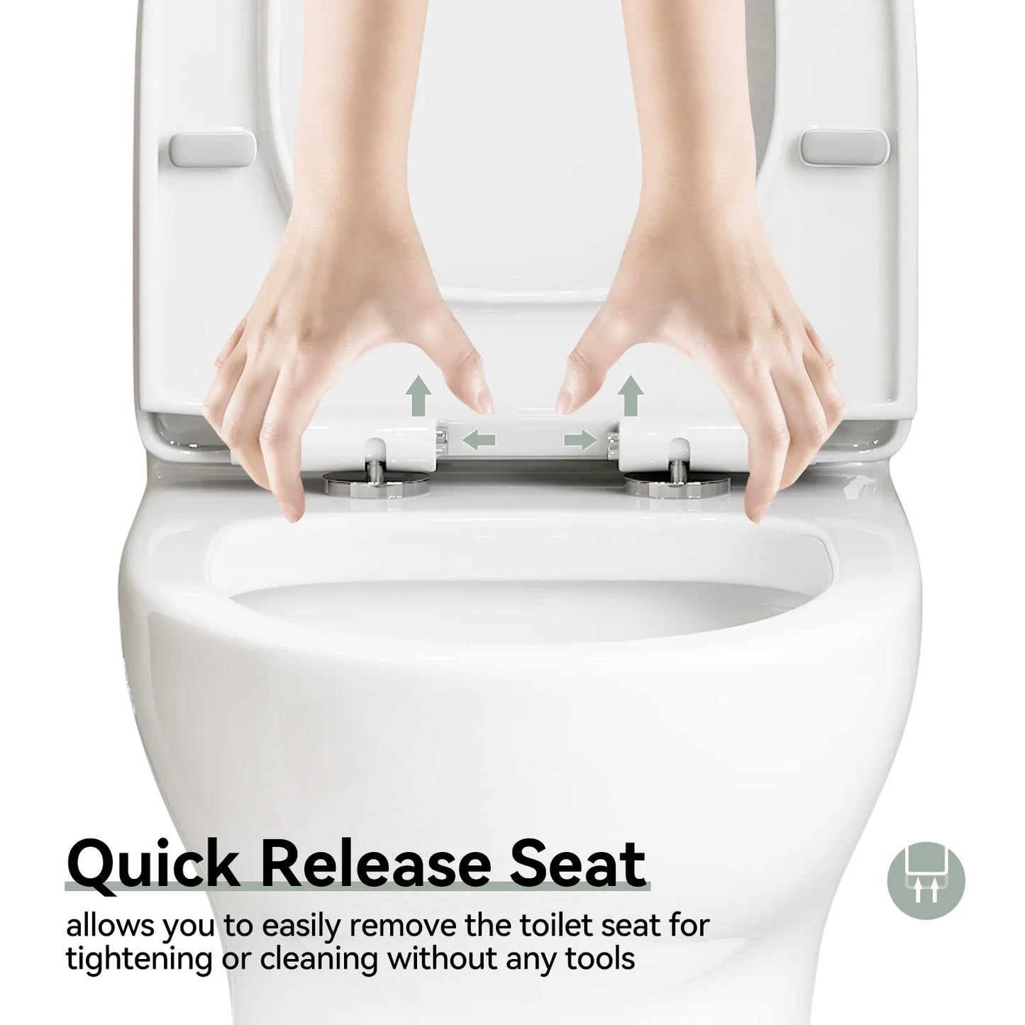 Dual Flush Toilet 12 Inch Rough In Toilet Model 76D