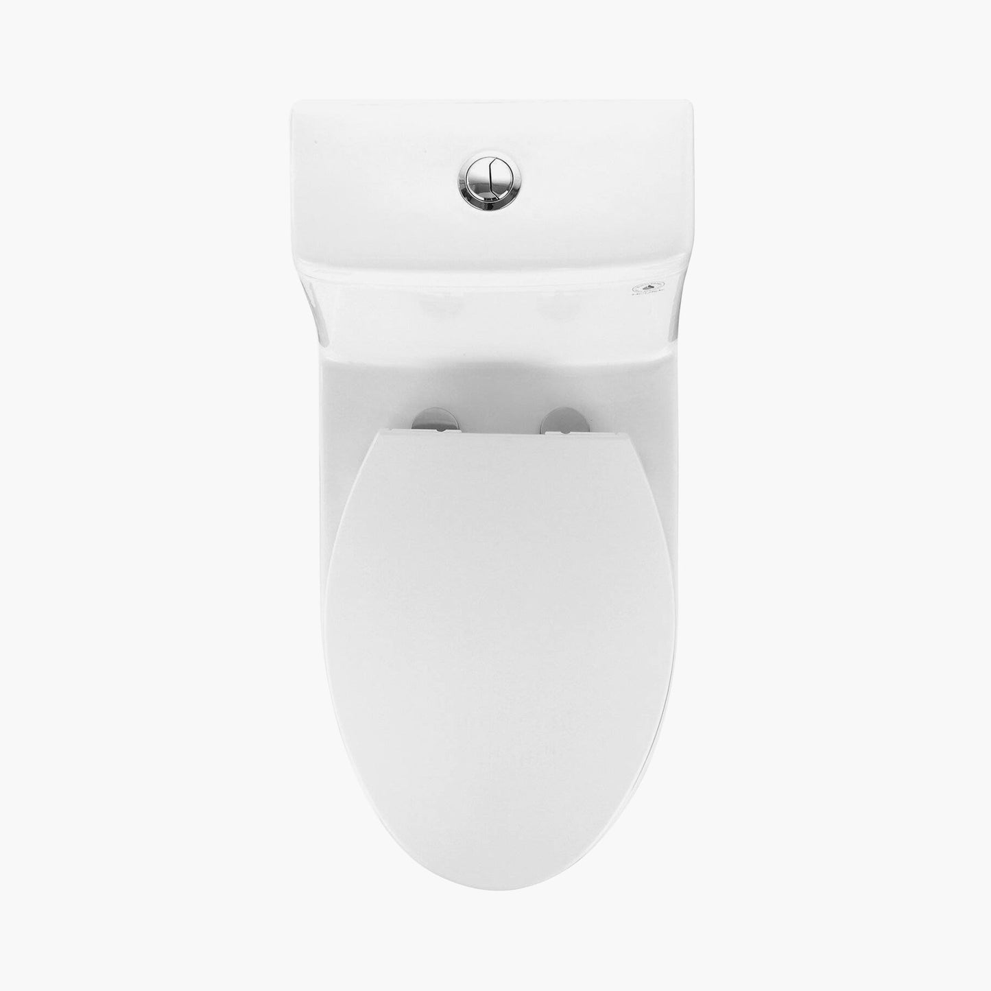 12 Inch Rough In Toilet Dual Flush Elongated One Piece Toilet Model T0337W