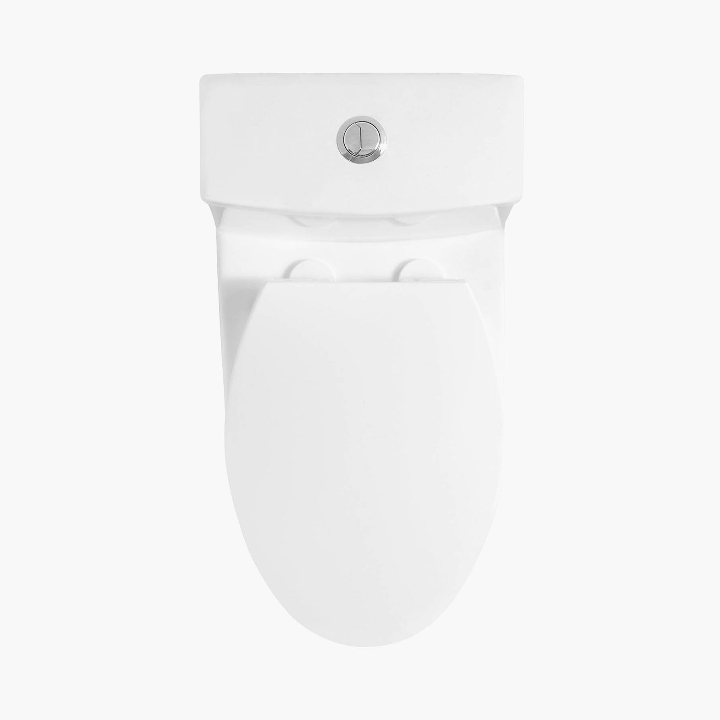 10 Inch Rough Toilet Bowl Elongated One Piece Toilet Model T0338W-10