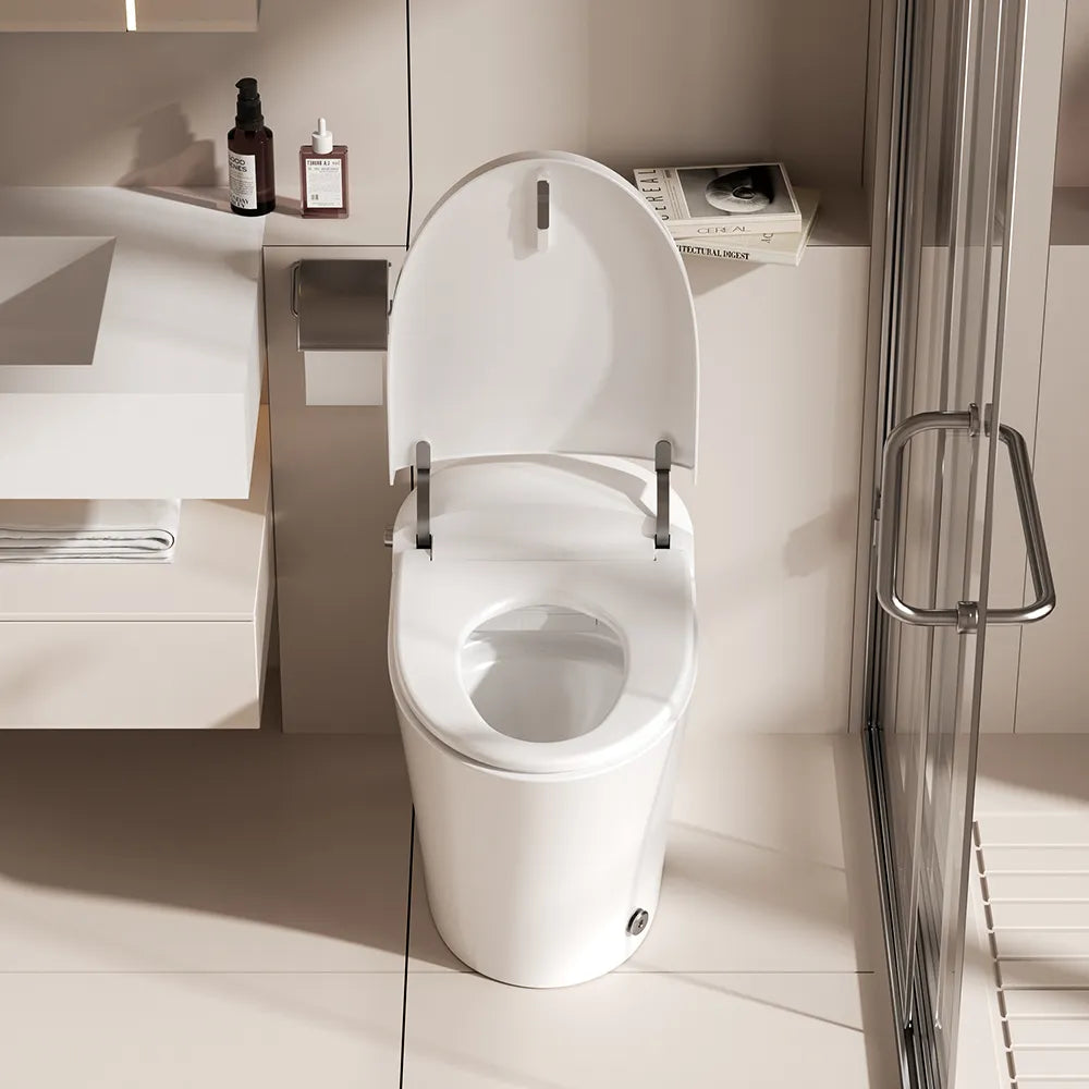 Smart Toilet with ADA and Heated Seat Model T10A