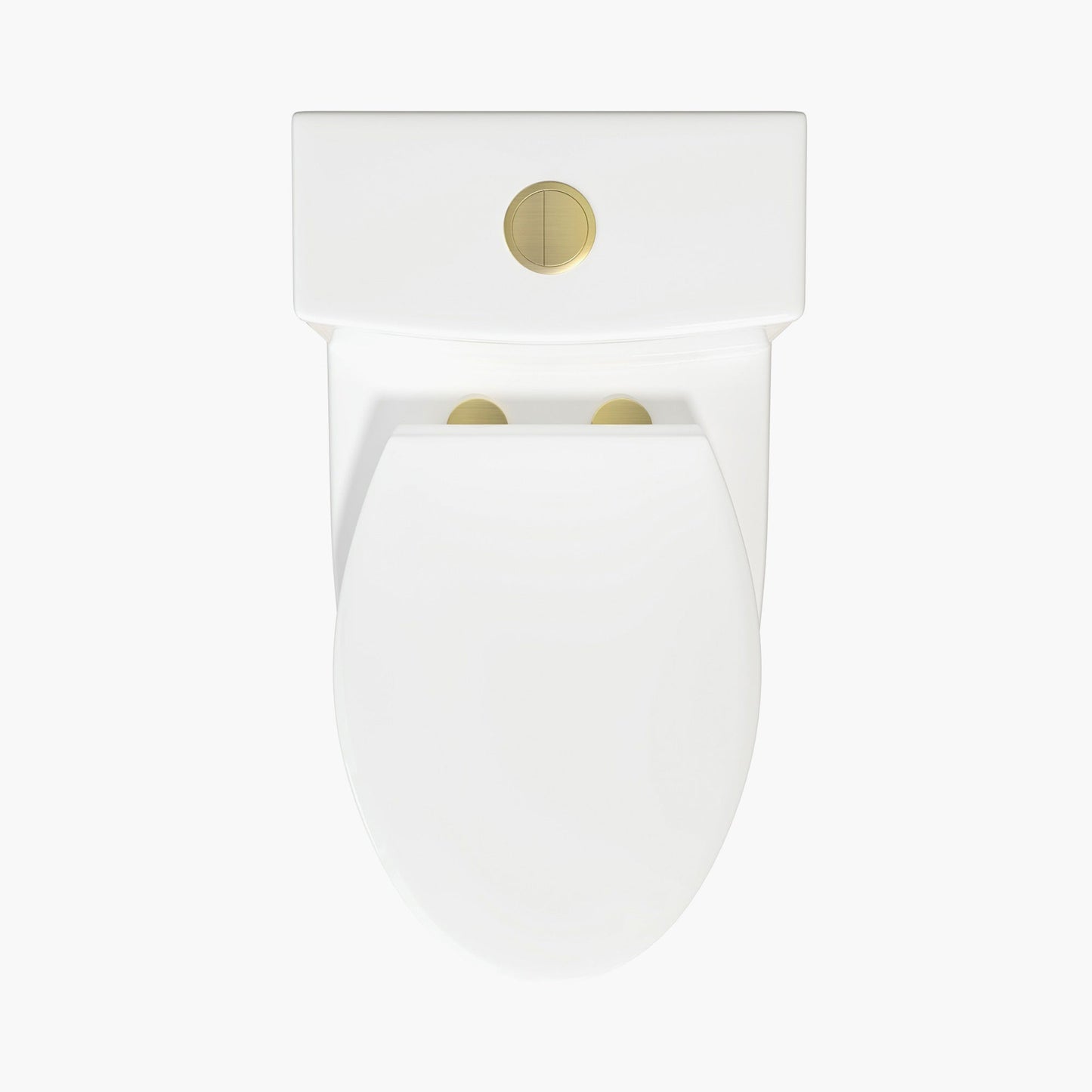Elongated Dual Flush One Piece Toilet ADA Floor Mounted Toilet Model T0338W-G