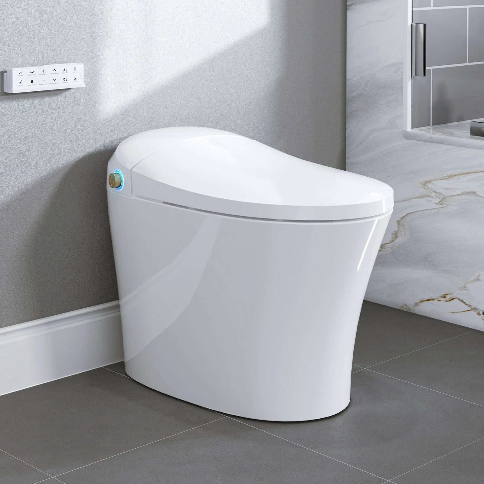 Best Bidet Toilet Automatic Flush Toilet Model T20