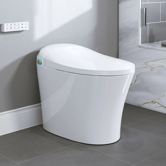 Best Bidet Toilet Automatic Flush Toilet Model T20