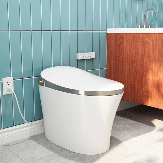 Bidet Toilet with ADA Height One Piece Smart Toilet Model T20YA
