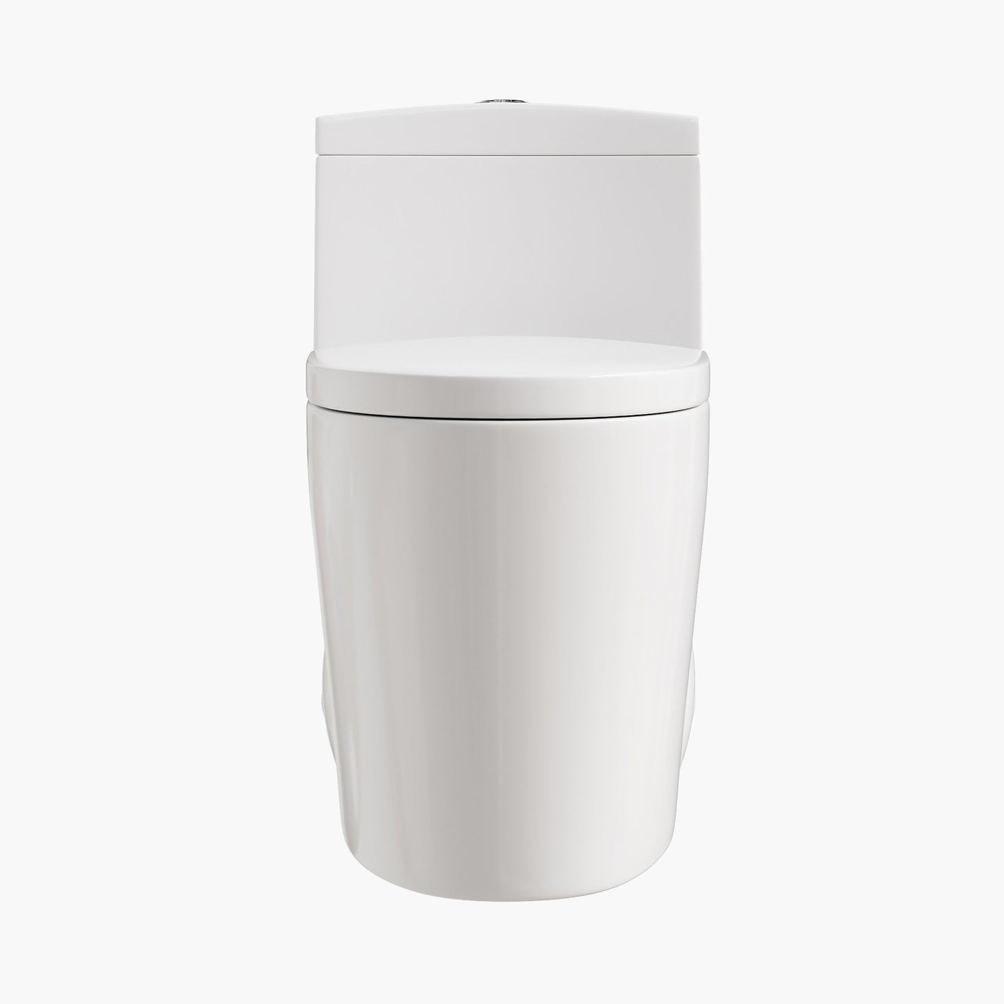 Compact Elongated Toilet One Piece Dual Flush 1.1 OR 1.6 GPF Toilet Model T0280W