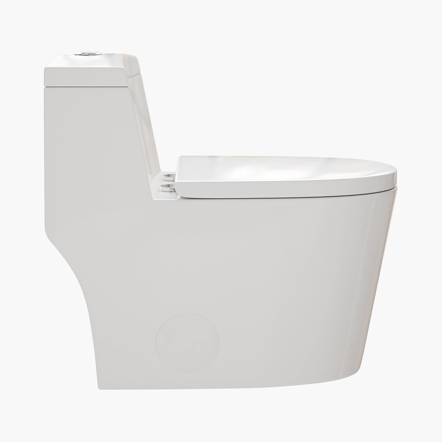 Compact Elongated Toilet One Piece Dual Flush 1.1 OR 1.6 GPF Toilet Model T0280W