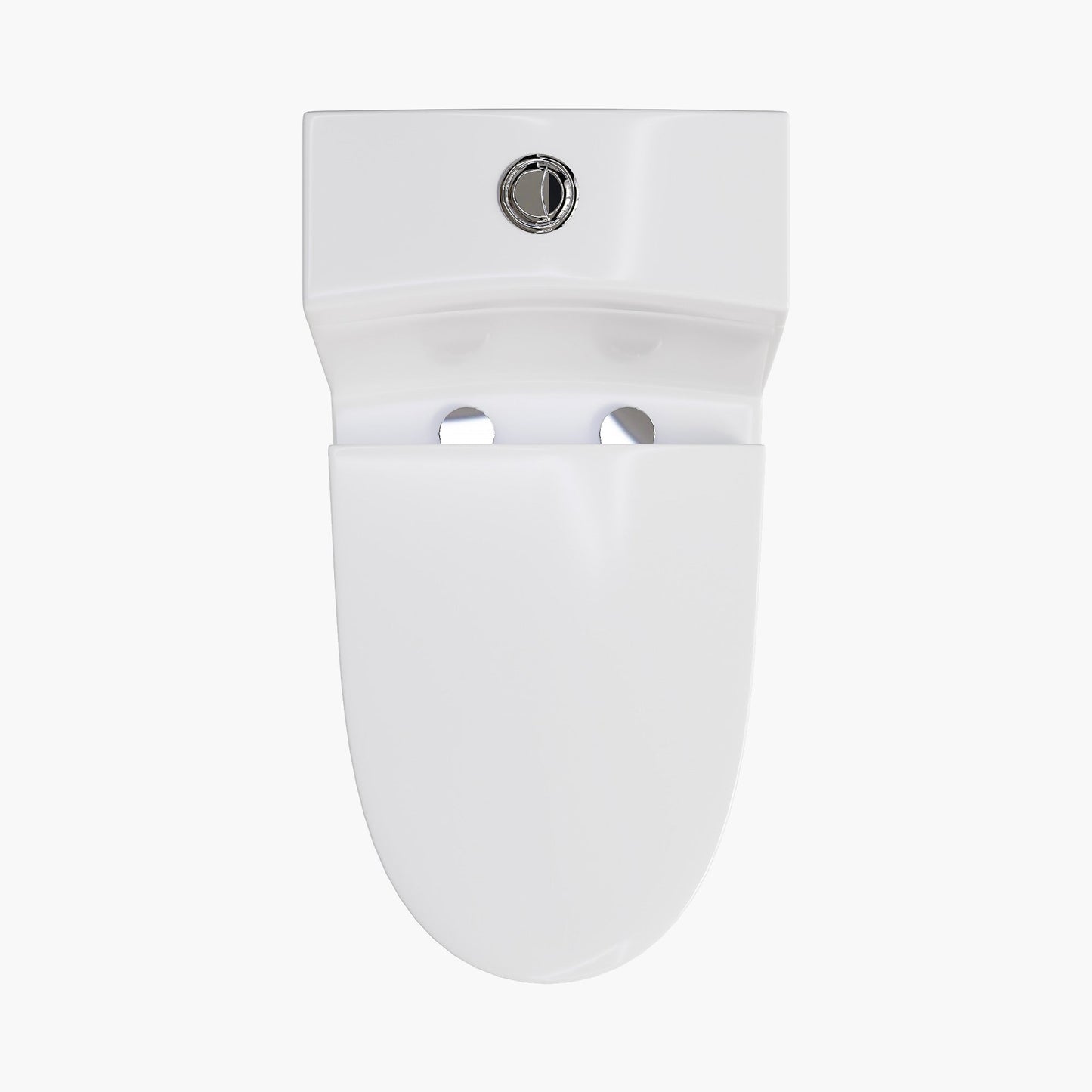 Compact Elongated Toilet One Piece Dual Flush 1.1 OR 1.6 GPF Toilet Model T0280W