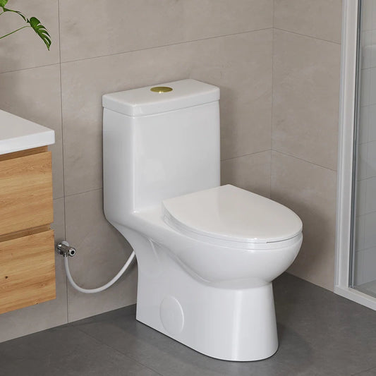 12 Inch Modern Floor Mounted Toilet Luxury Toilet Design Model T0337W-G