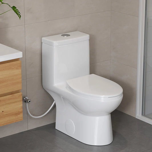 12 Inch Rough In Toilet Dual Flush Elongated One Piece Toilet Model T0337W