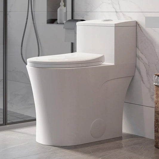 10 Inch Rough Toilet Bowl Elongated One Piece Toilet Model T0338W-10