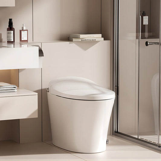 Smart Toilet with ADA and Heated Seat Model T10A