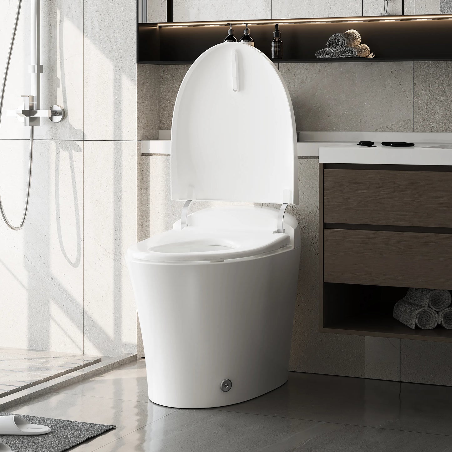 Modern Bidet Toilet With Heated and ADA Model T15A