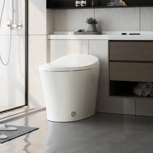 Modern Bidet Toilet With Heated and ADA Model T15A