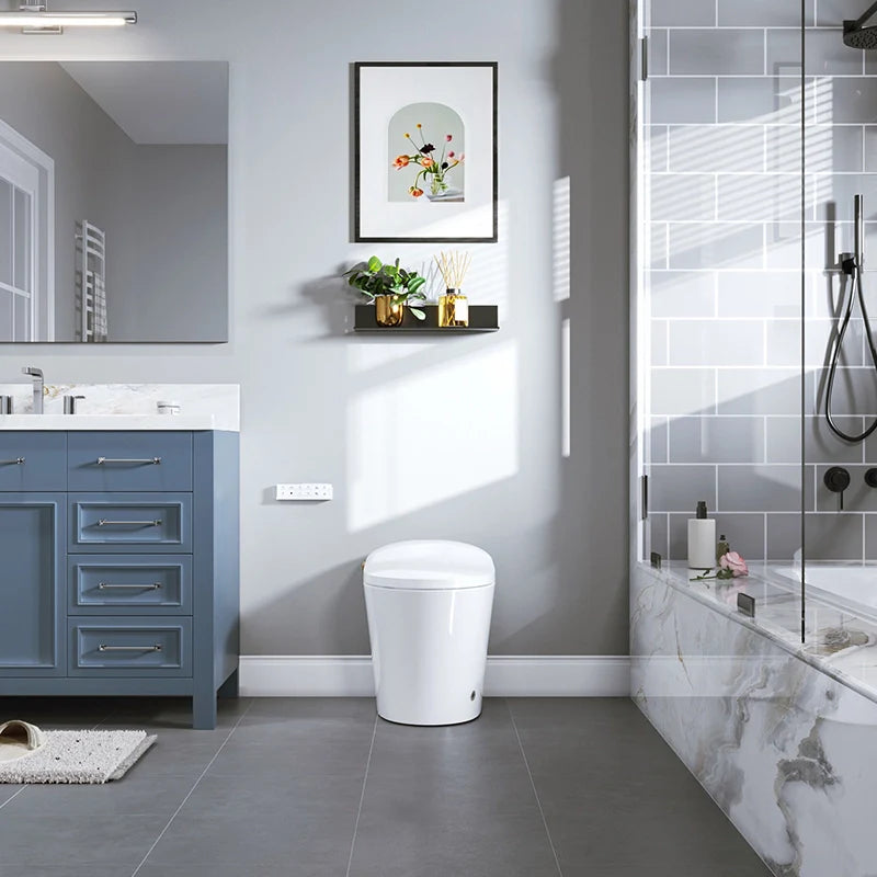 Best Bidet Toilet Automatic Flush Toilet Model T20