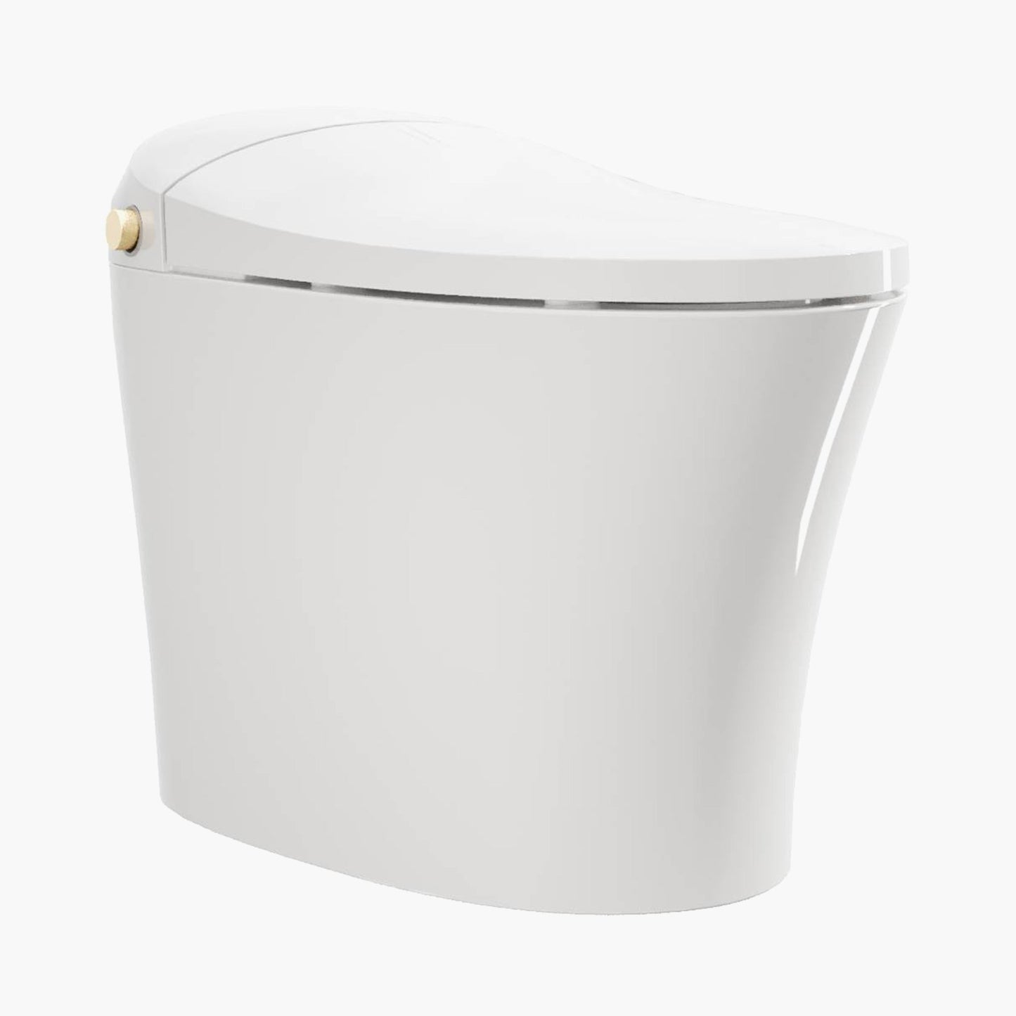 Best Bidet Toilet Automatic Flush Toilet Model T20