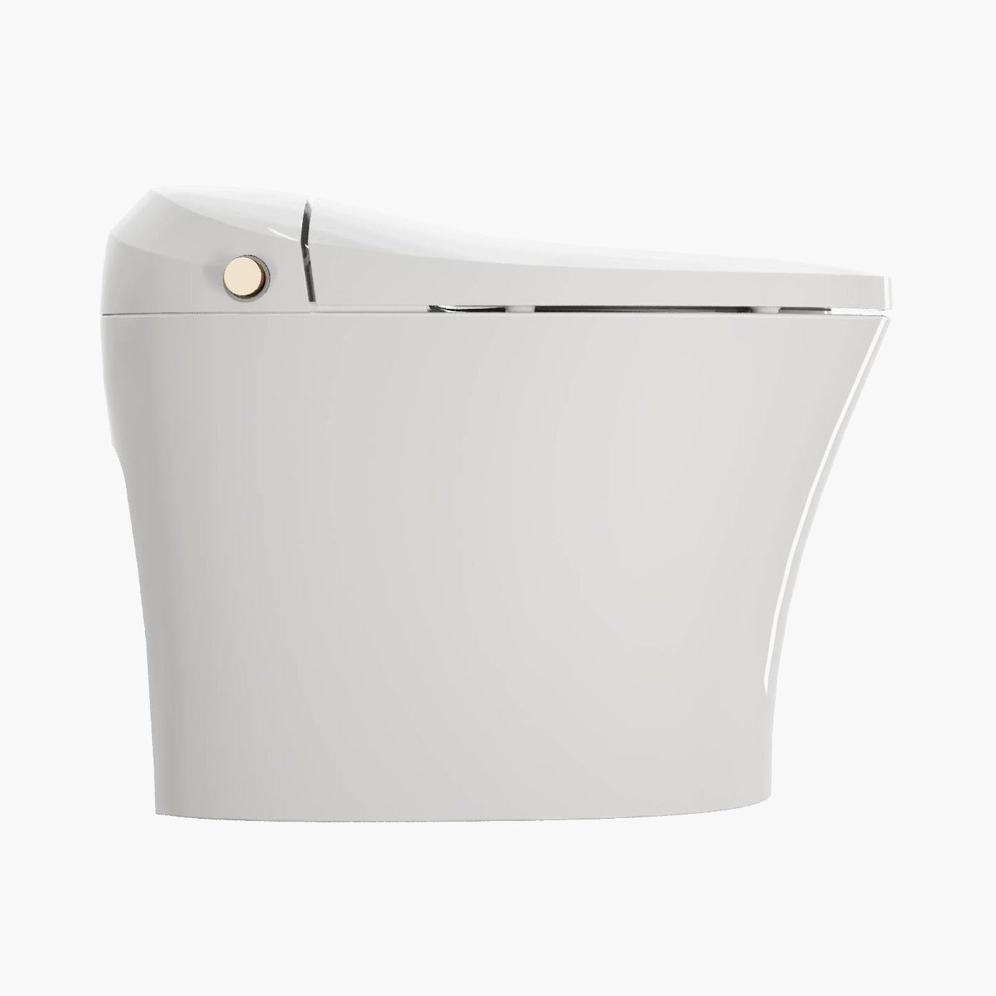 Best Bidet Toilet Automatic Flush Toilet Model T20