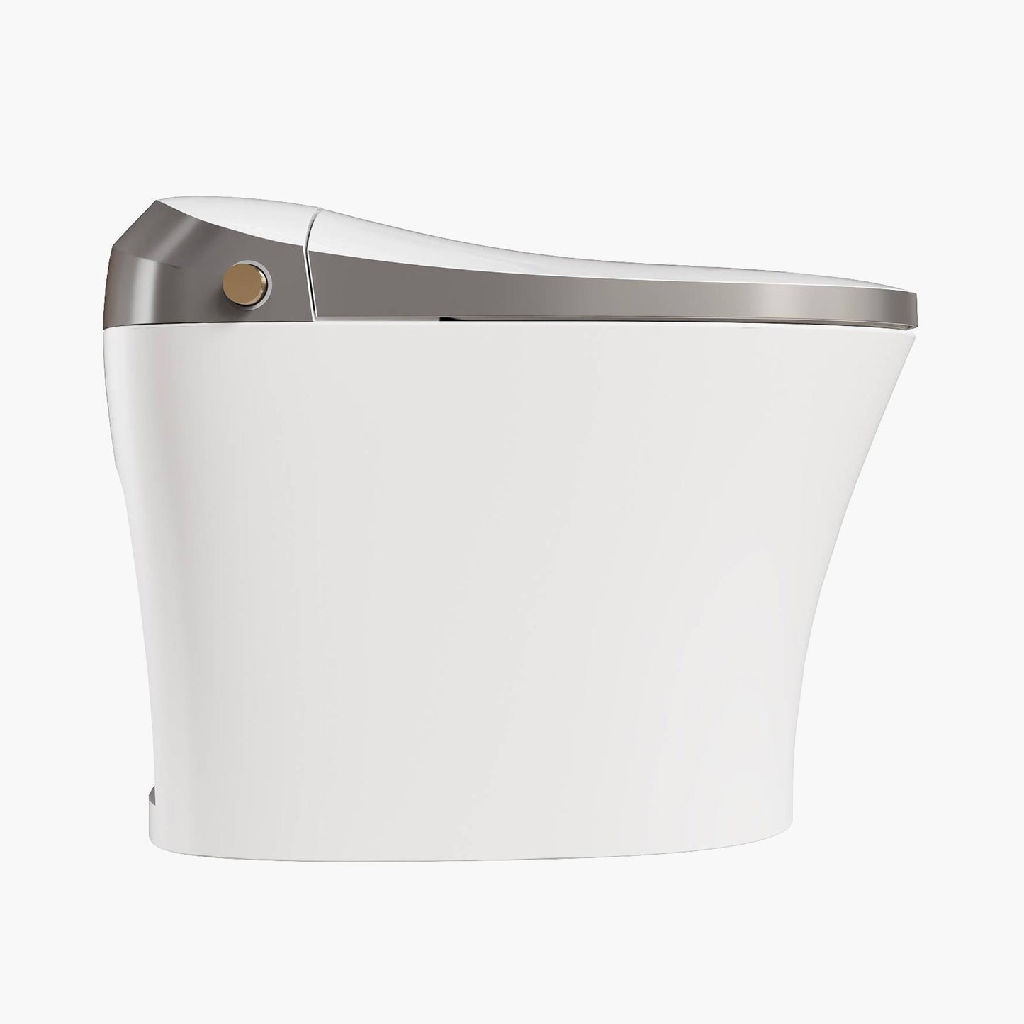 Best Smart Toilet Warm Water Bidet Toilet Model T20Y