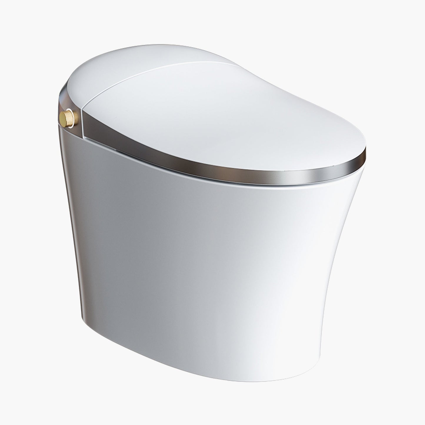 Best Smart Toilet Warm Water Bidet Toilet Model T20Y