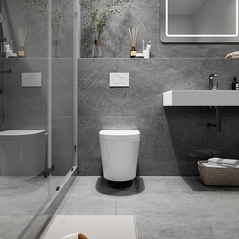 Modern Wall Hung Toilet With Soft Closing Toilet Seat Model TG02W