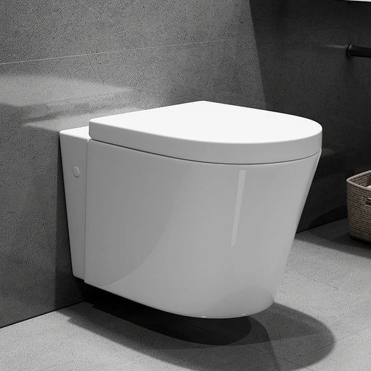 Modern Wall Hung Toilet With Soft Closing Toilet Seat Model TG02W